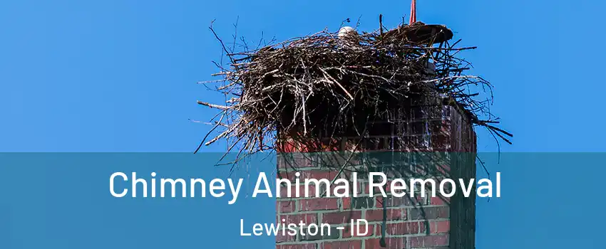  Chimney Animal Removal Lewiston - ID