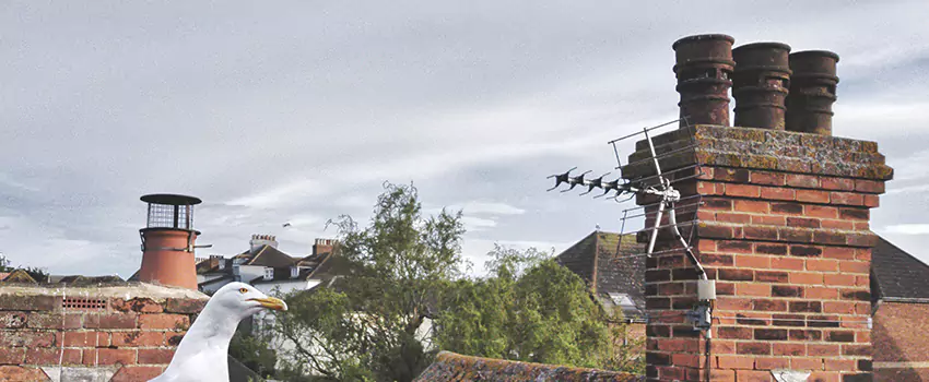 Chimney Cleaning And Restoration in Lewiston, Idaho