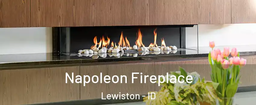  Napoleon Fireplace Lewiston - ID